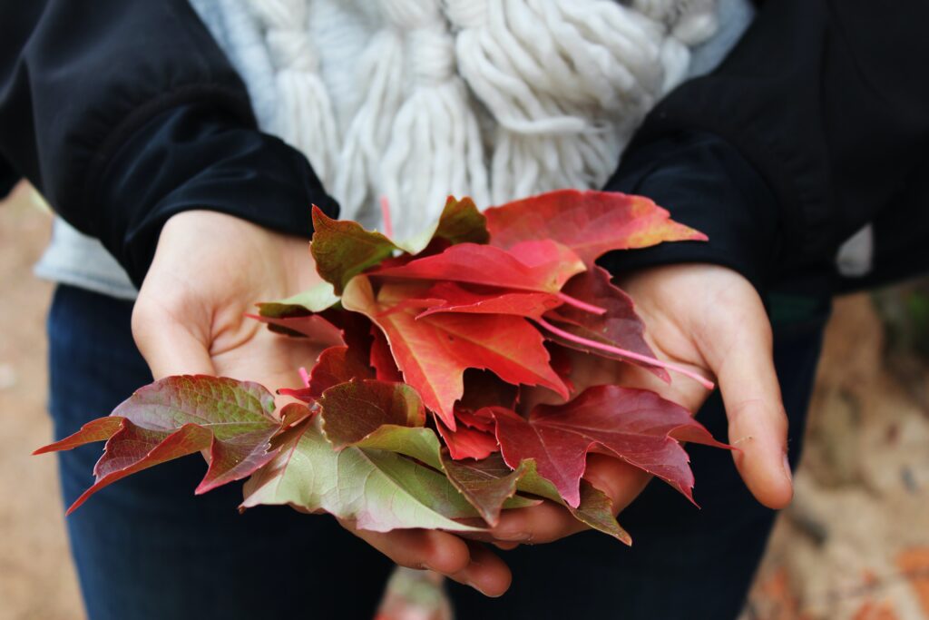Simple autumn money saving tips