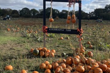 Horncastle Farm pumpkin picking