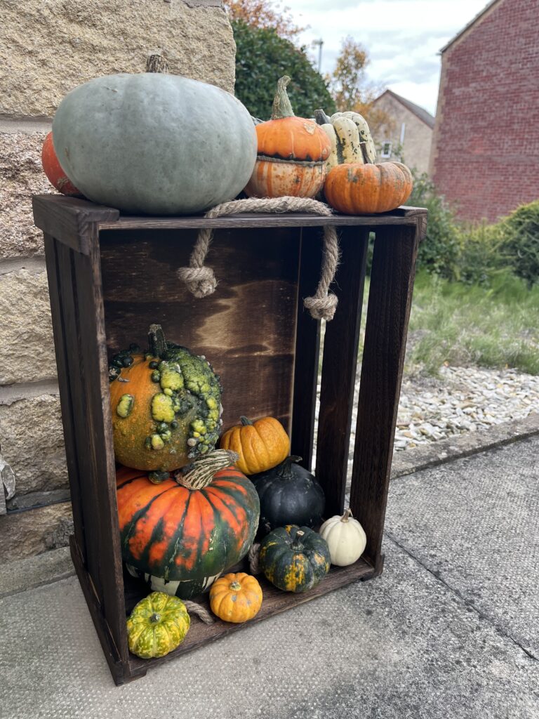 Horncastle Farm PYO pumpkins