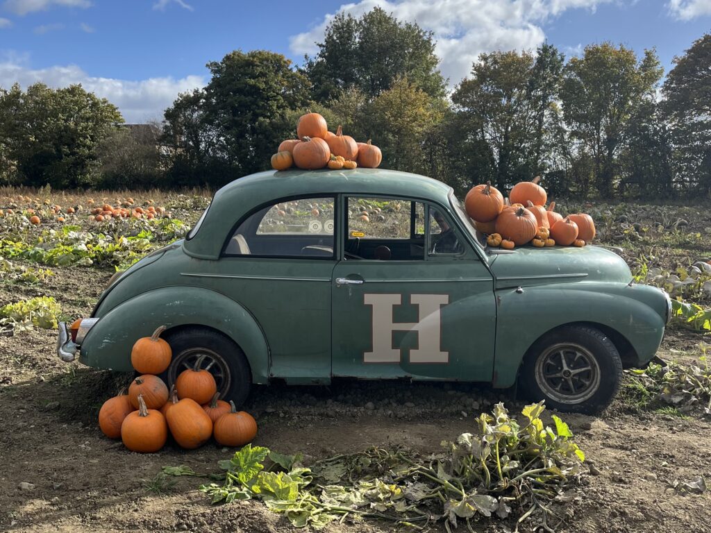 Horncastle Farm pumpkin patch